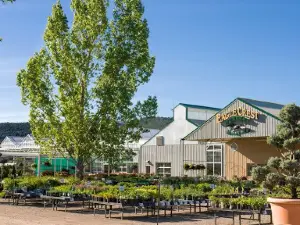 Eagle Crest Nursery