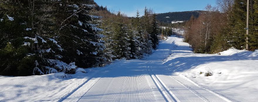 Borgen ski trails