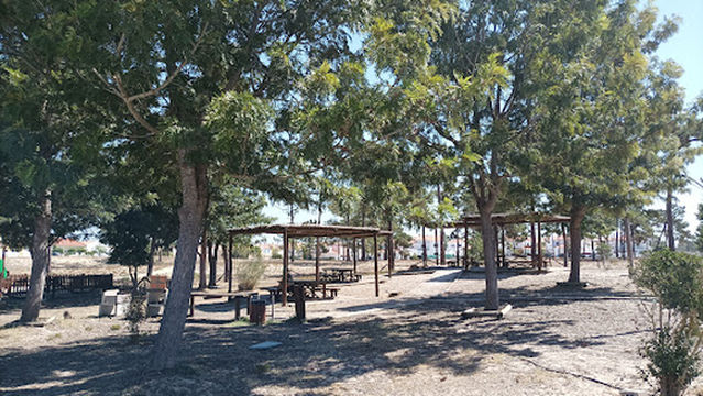 Playground and picnic