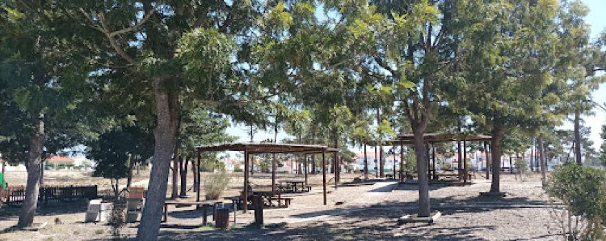 Playground and picnic