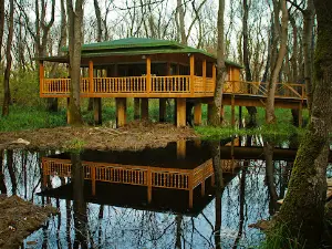 The Çakırlar