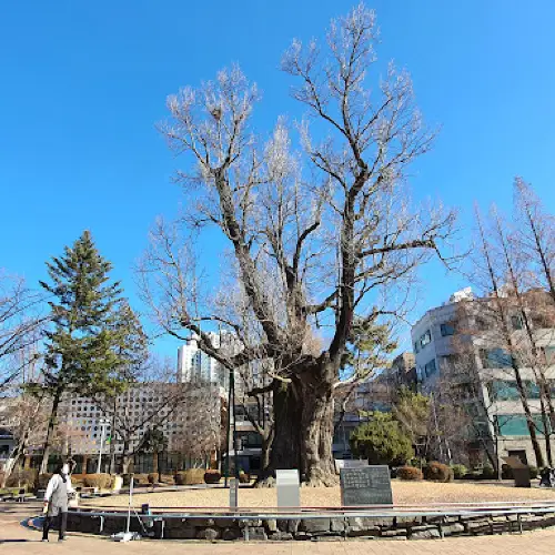 중앙공원