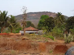 Natuwadi Left Canal