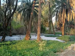 Narayan Bagh