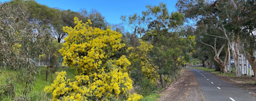 Strathnaver Reserve