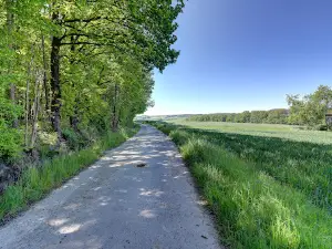 Patensteig