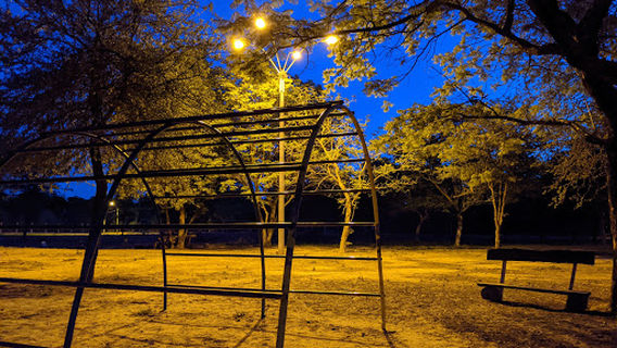 Rosen Felder Garten (Park)