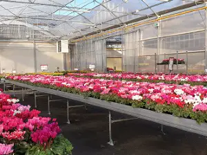 JARDINERIE BONCAP ORTHEZ