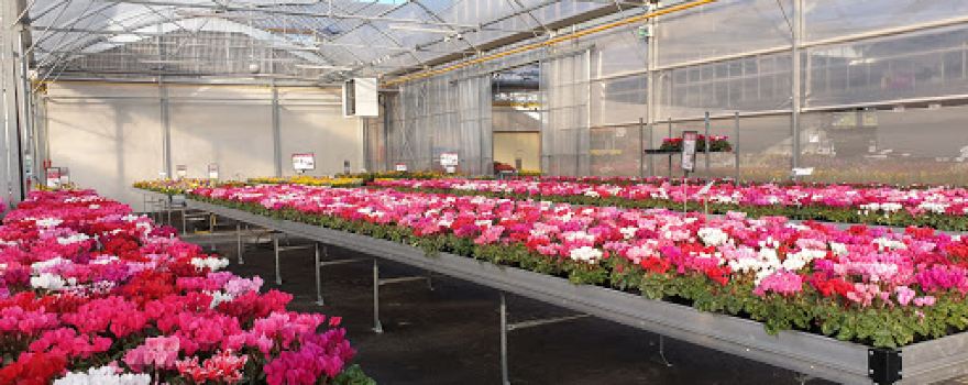 JARDINERIE BONCAP ORTHEZ