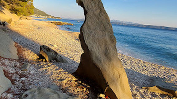 Podgora
