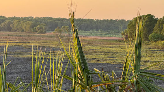 Pandanus Lookout