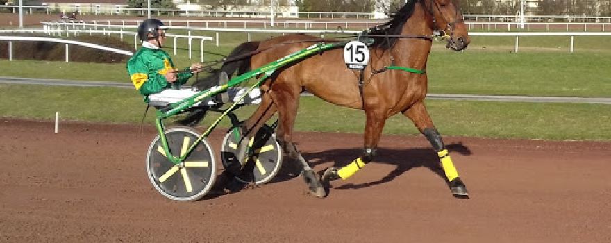 Ecurie Fac - Haras de la Grande Terre