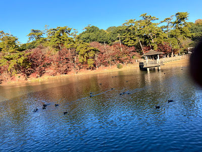 Okazaki City Higashi Park Zoo