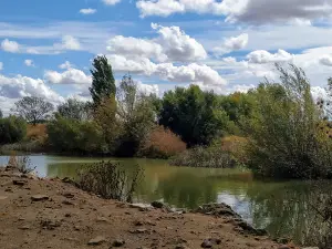 Valderaduey River