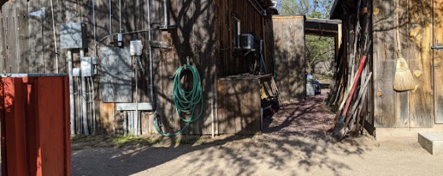Tucson Wildlife Center Inc