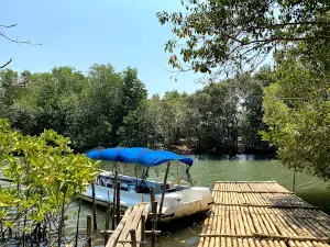 Bued Mangrove Park