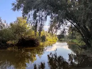 Чорнобильський радіаційно-екологічний біосферний заповідник