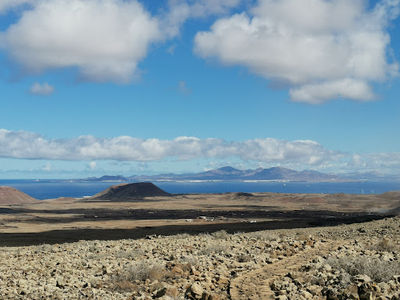 Camel Rides