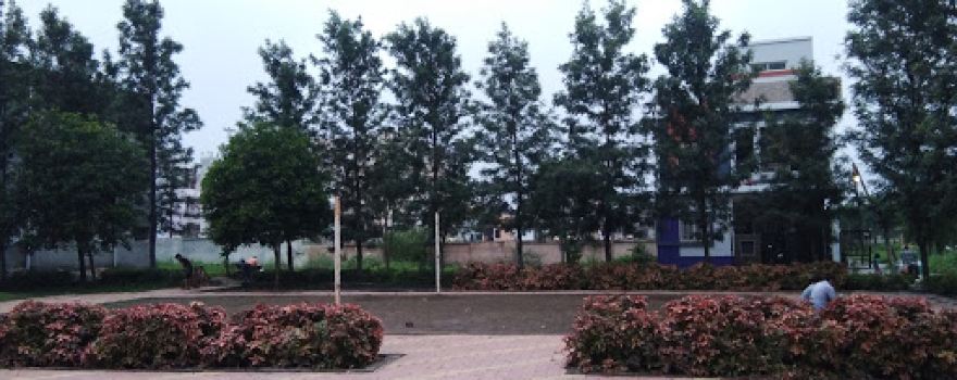 Water Tank Garden