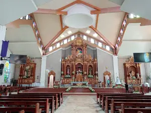 Cathedral of Our Lady of the Immaculate Conception