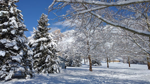Bicentennial Park