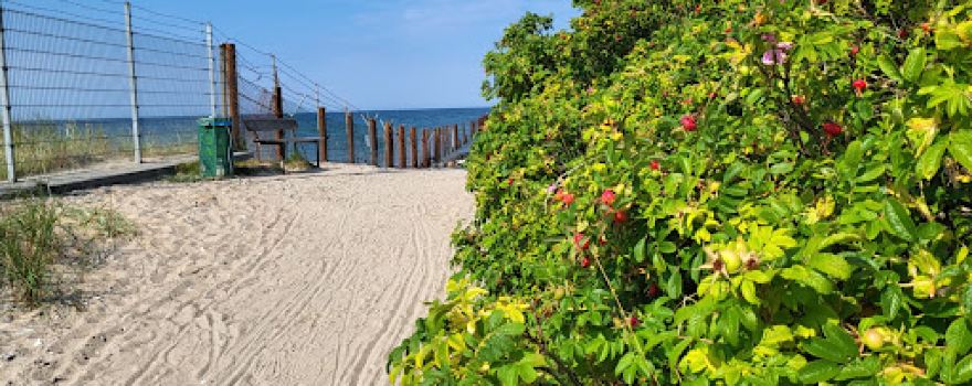 Badestrand Neuland