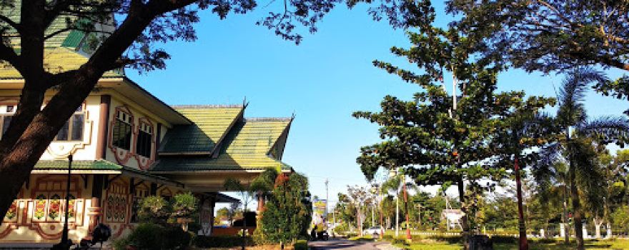 H.M. Sanusi Stadium Pulang Pisau