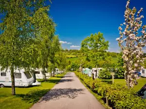 Andrewshayes Holiday Park