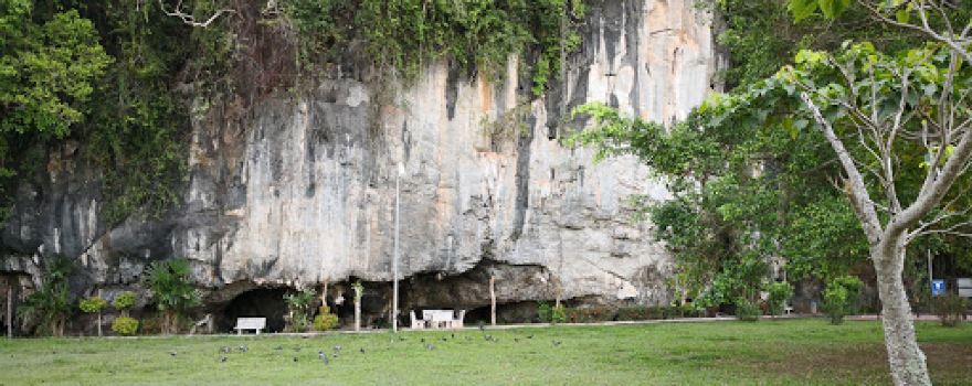 Bukit Kubu Recreational Forest