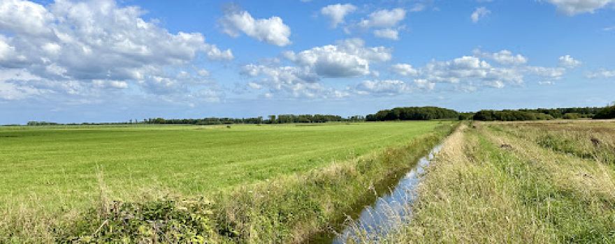 Stuttebosch (Natuurgebied van Staatsbosbeheer.)