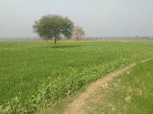 Baba Budheshwar Nath Temple