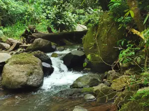Bagyangon Falls Drop Off Point