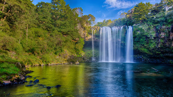 Kerikeri Wagon Wheel Holiday Park