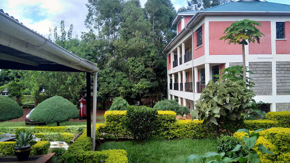 Kutus