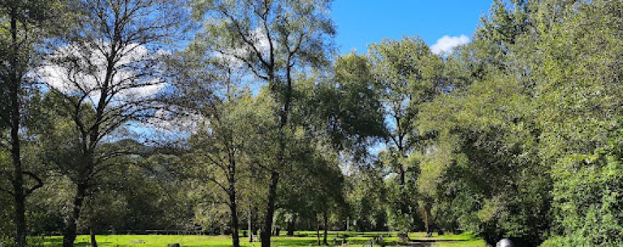 Área recreativa de Cornellana