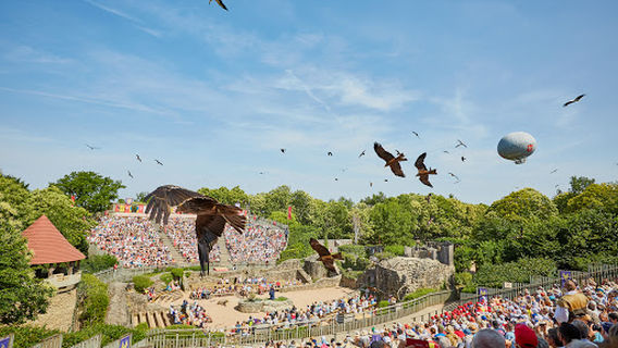 The Ghost Bird Dance