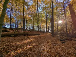 Wolf Run Regional Park