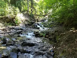 Noisy Creek Campground