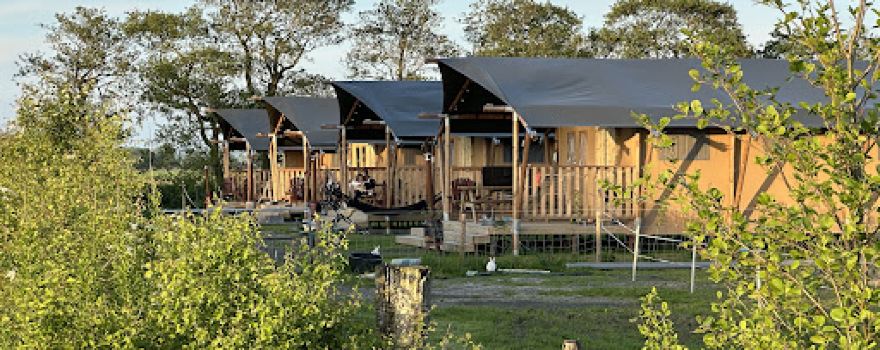 FarmCamps De Bonte Fries