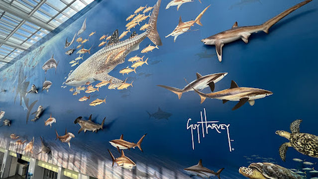 Don Taft University Center at Nova Southeastern University