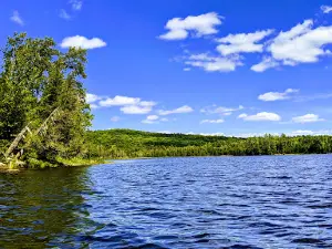Lake Harris Campground