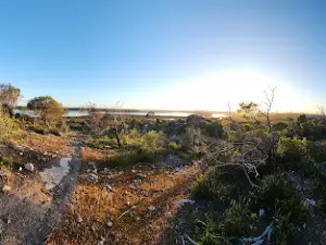 Yangie Bay Campground