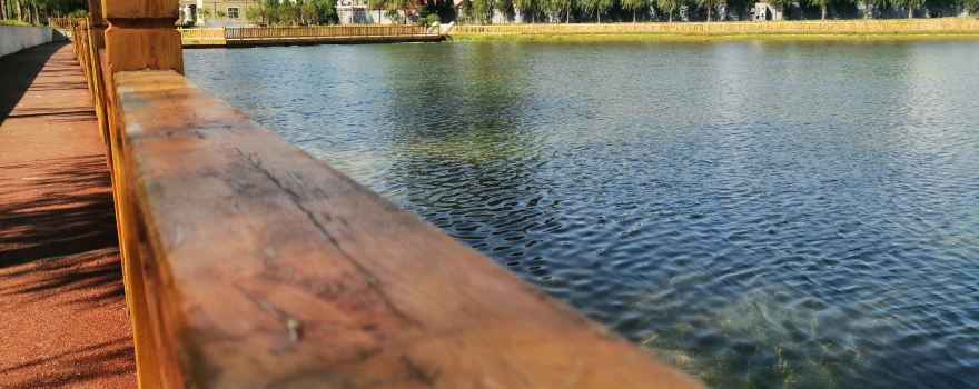 Chenfan Park