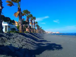Playa para perros El Cabezo