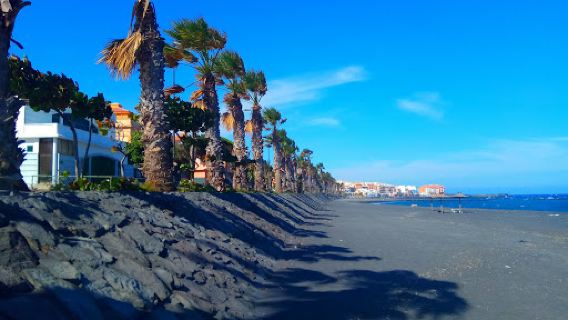 Playa para perros El Cabezo