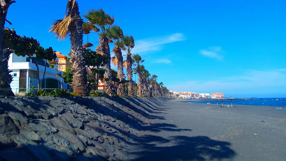 Playa para perros El Cabezo