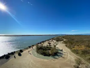 Mirador del Zigurat - Desembocadura de l'Ebre