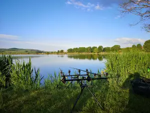Balta Sanpaul - Harghita