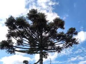 Parque de Eventos de Fontoura Xaiver - RS