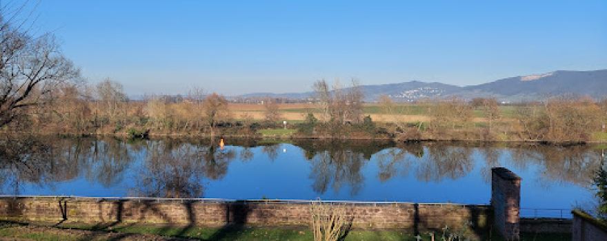 Unterer Neckar: Altneckarschleife-Neckarplatten